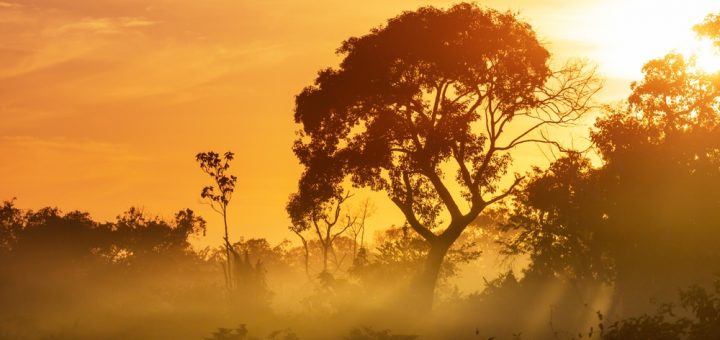 Foto: Galyna Andrushko / Shutterstock.com