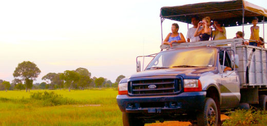 Você conhece o Pantanal?