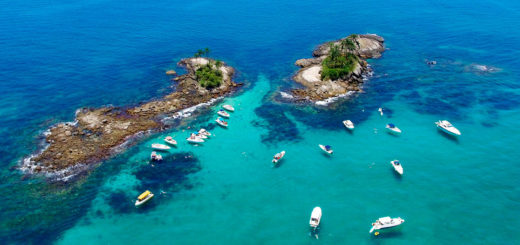 Natureza que Amamos no Brasil