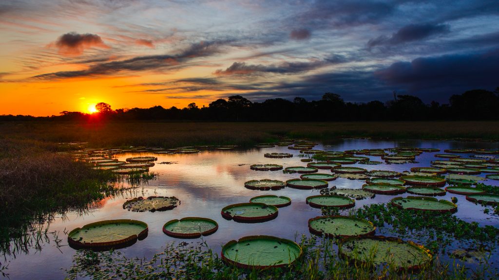 Foto: Christophe Schultz / Shutterstock
