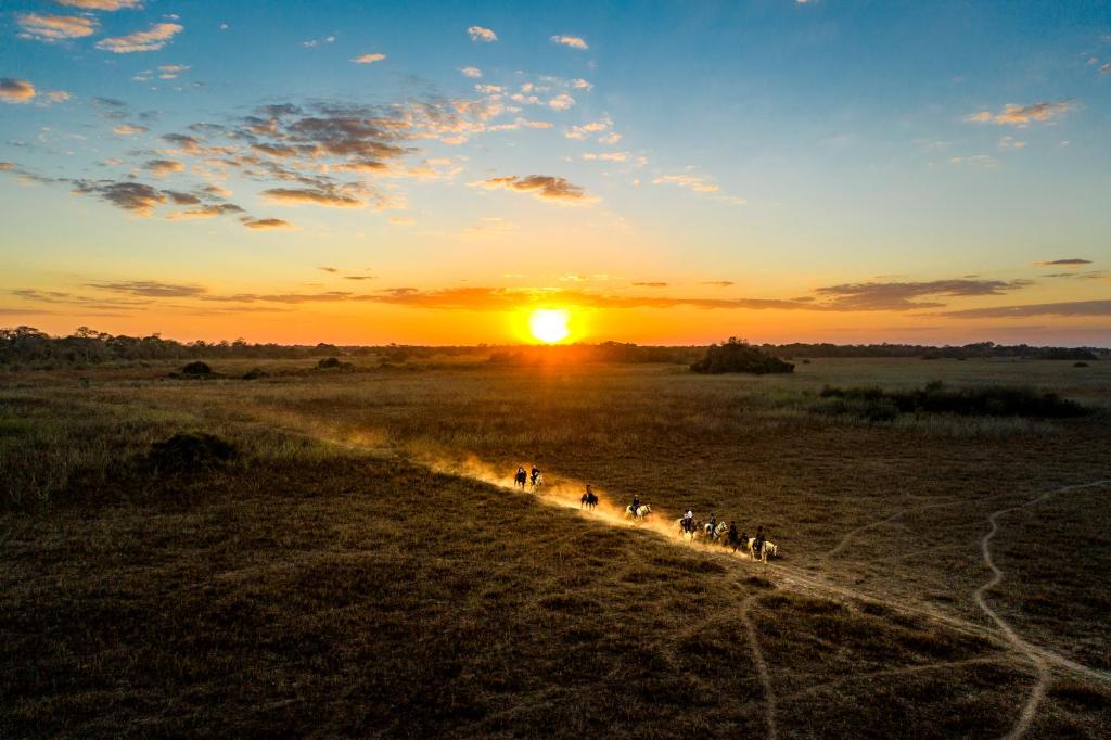 Foto: Divulgação / Araras Ecolodge Pantanal