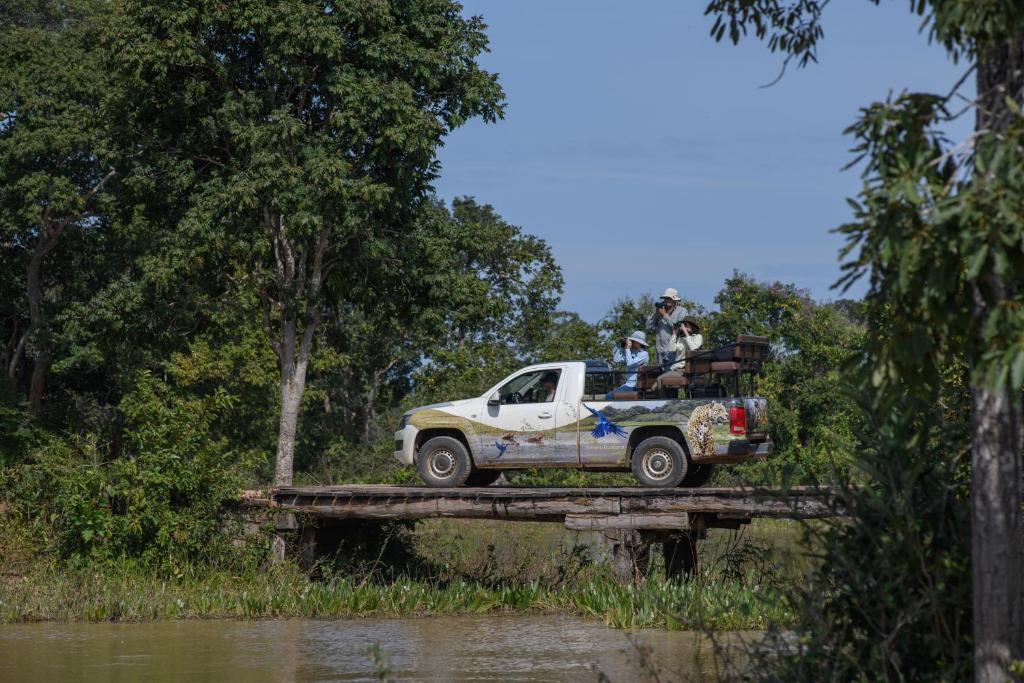 Foto: Divulgação / Araras Ecolodge Pantanal