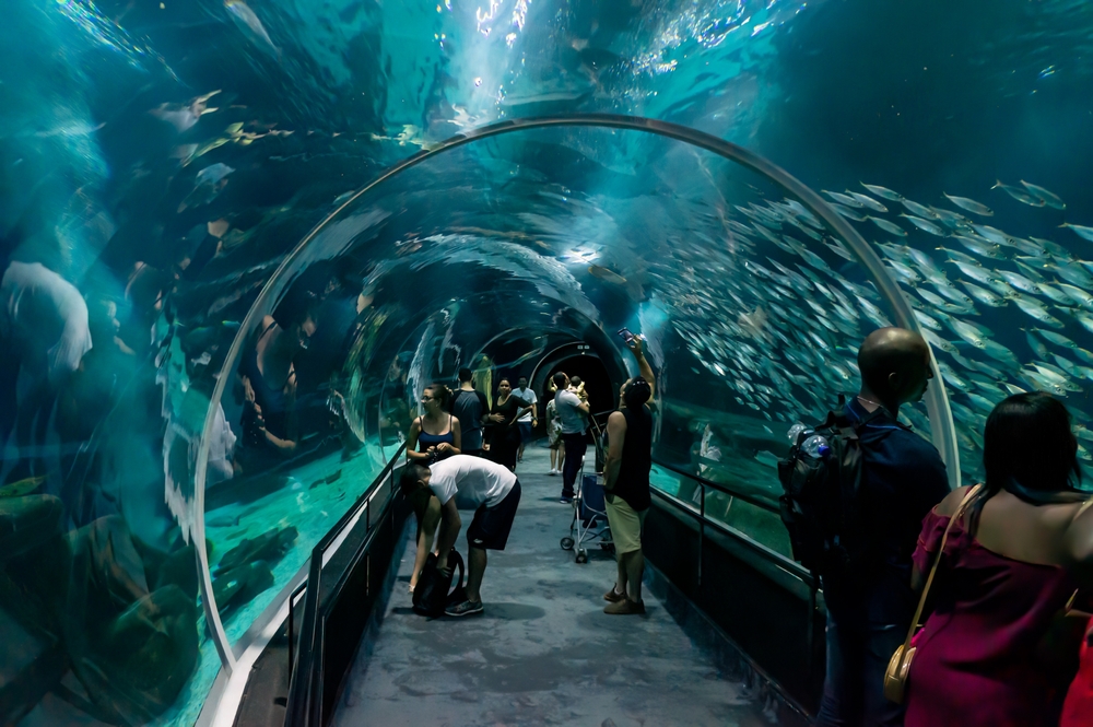 Foto: Deni Williams / Shutterstock.com