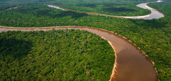 Foto: Gino Tuesta / Shutterstock.com