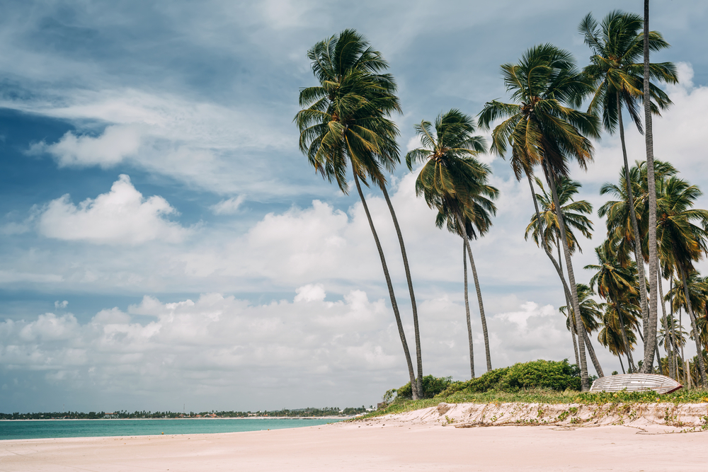 Foto: Nessa Gnatoush / Shutterstock