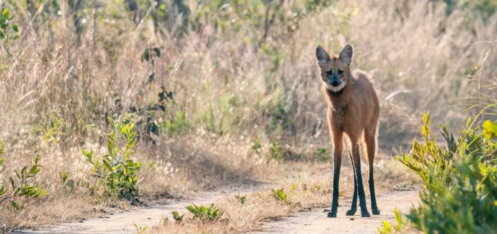 Foto: Rob Jansen / Shutterstock.com