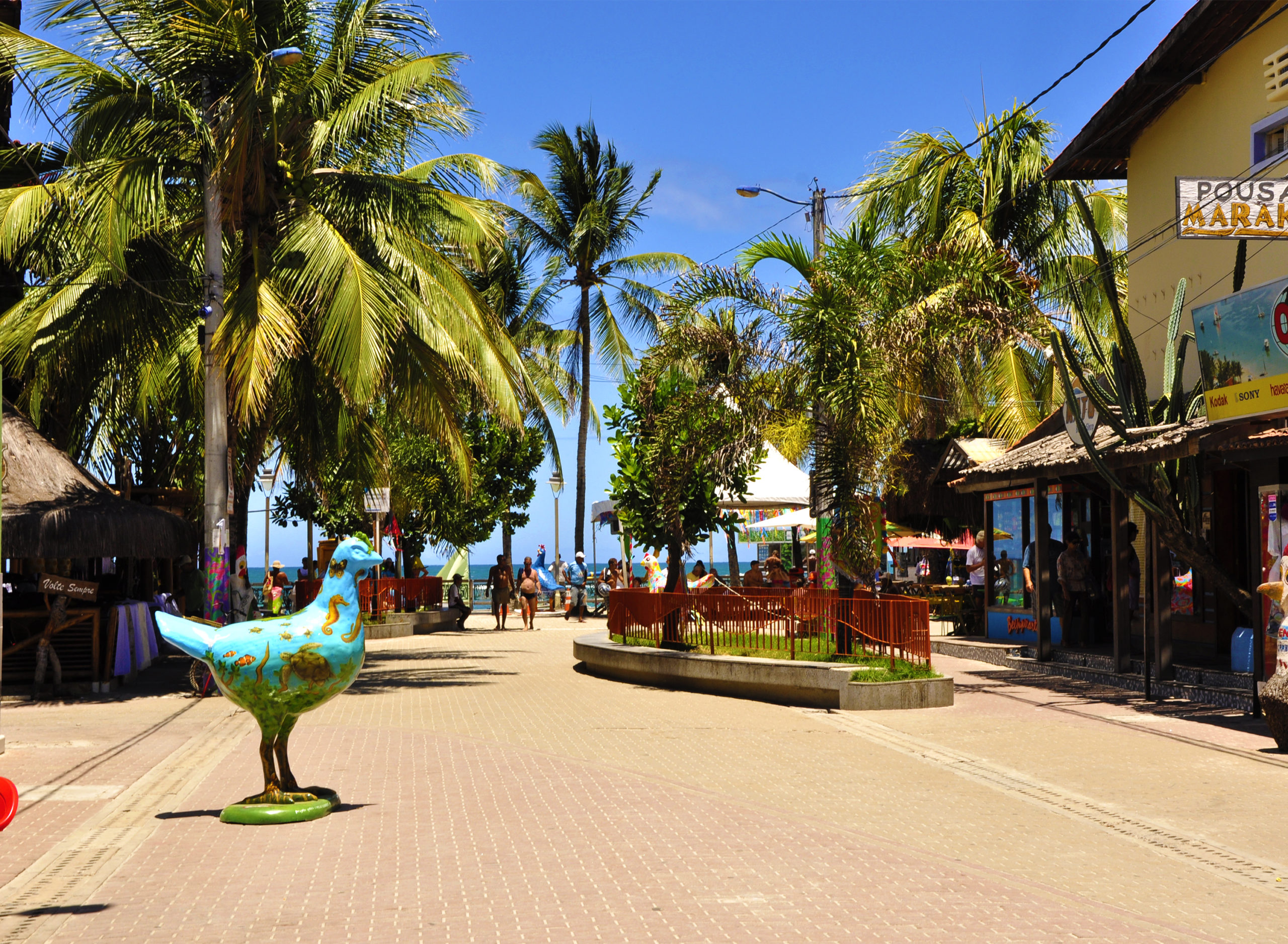 tour recife porto de galinhas