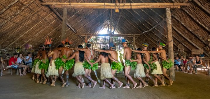 Foto: Divulgação / Untamed Amazon
