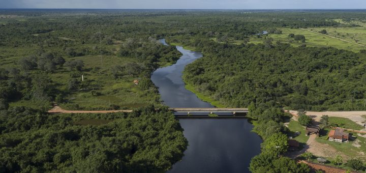 Você precisa conhecer o Pantanal Norte.