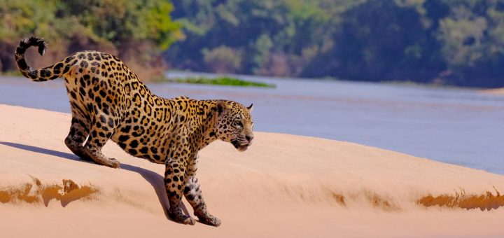 Foto: reisegraf.ch / Shutterstock.com