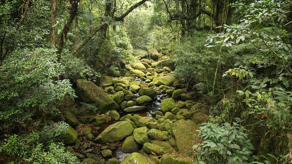 Foto: Tupungato / Shutterstock.com