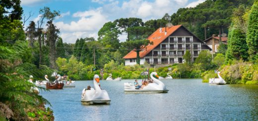 Foto: Nido Huebl / Shutterstock.com