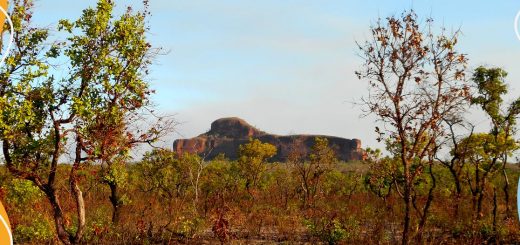 Como visitar o Jalapão?