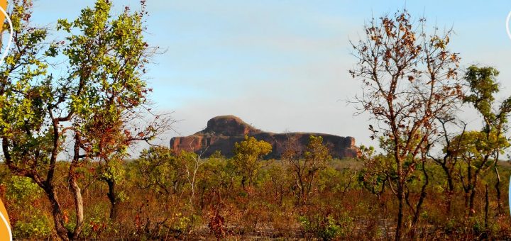 Como visitar o Jalapão?