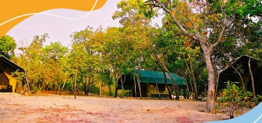 Jalapão essencial - Korubo Camp Safari