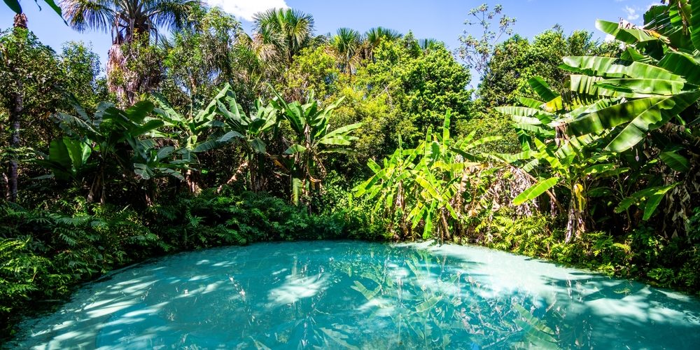 Foto: Bernard Barroso / Shutterstock.com