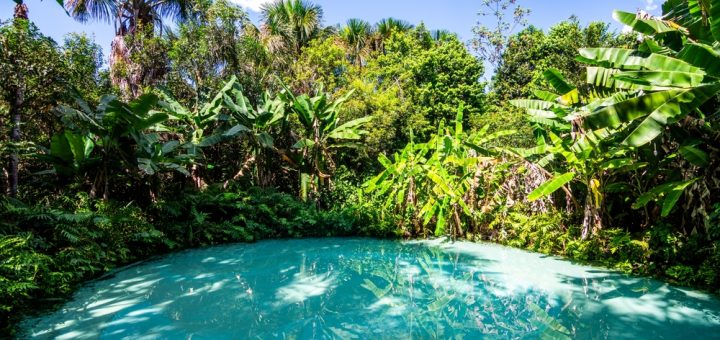 Foto: Bernard Barroso / Shutterstock.com