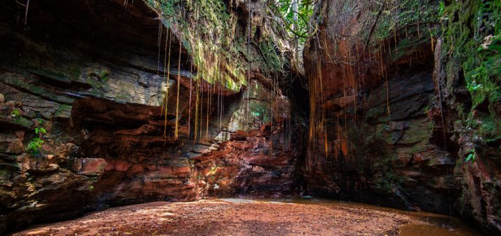 Foto: Ticiana Giehl / Shutterstock.com