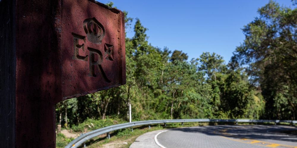 Foto: Fagner Martins / Shutterstock.com