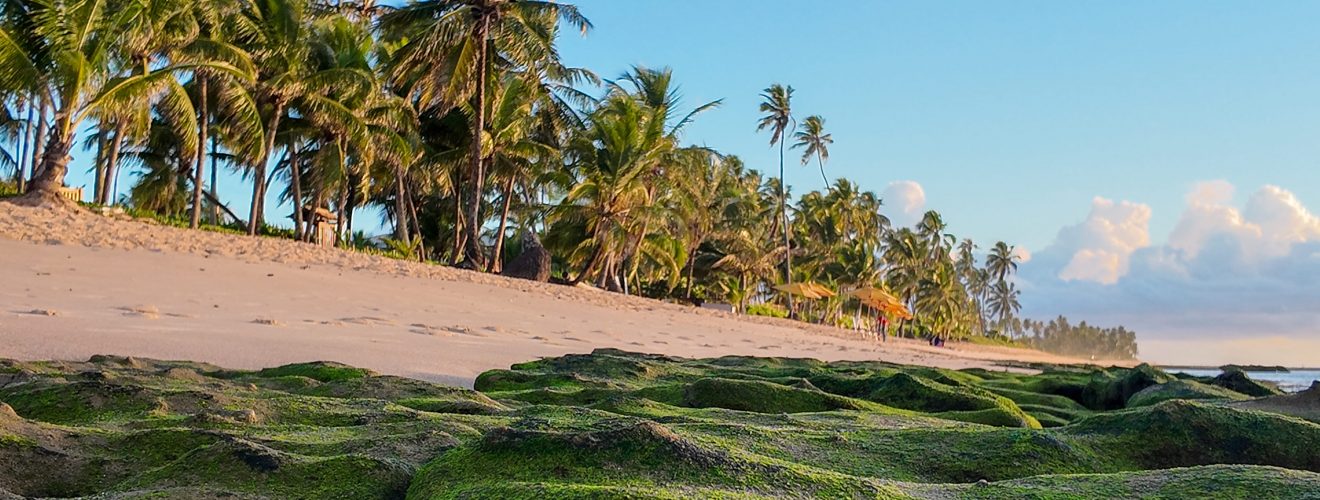 Foto: Guilherme Ferreira / Blumar DMC