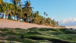 Foto: Guilherme Ferreira / Blumar DMC