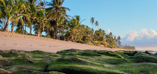 Foto: Guilherme Ferreira / Blumar DMC