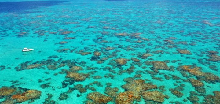 Foto: Feilipe Miranda / Shutterstock