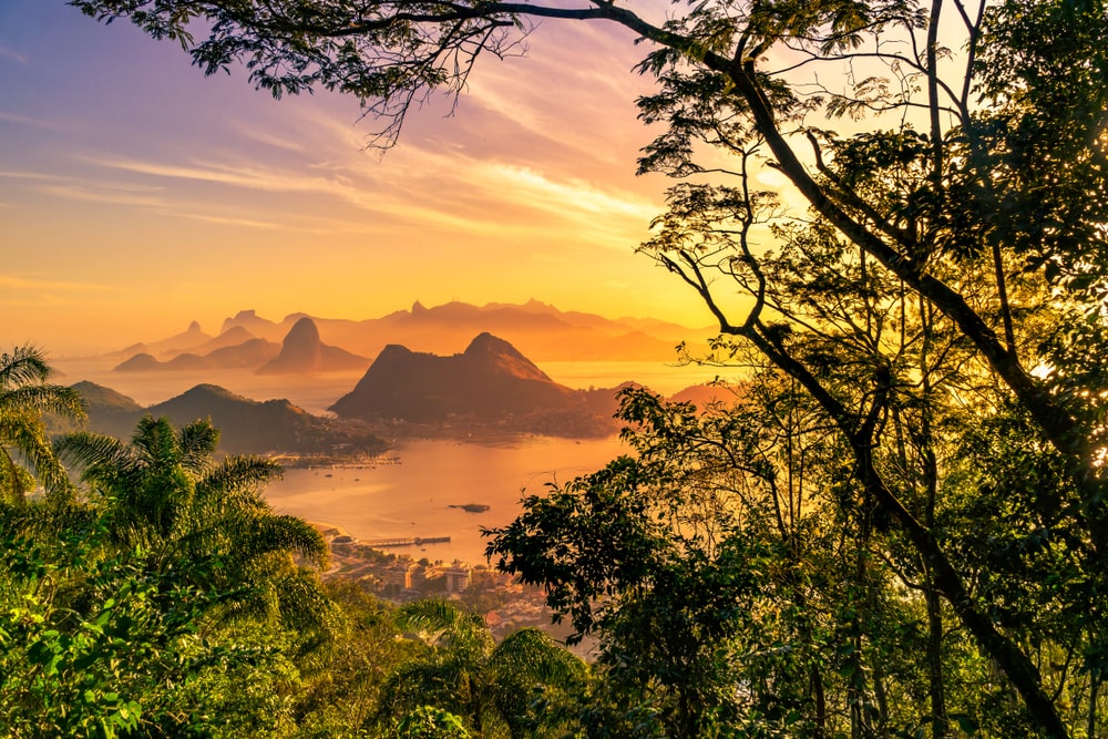 Foto: Alexandre Malta / Shutterstock.com