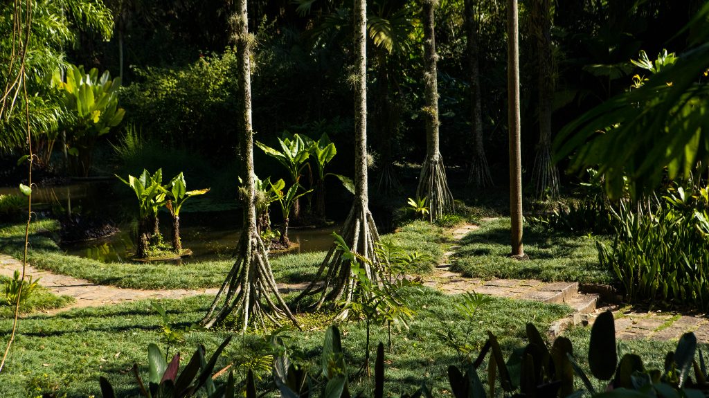Foto: Rafael Catarcione / Riotur