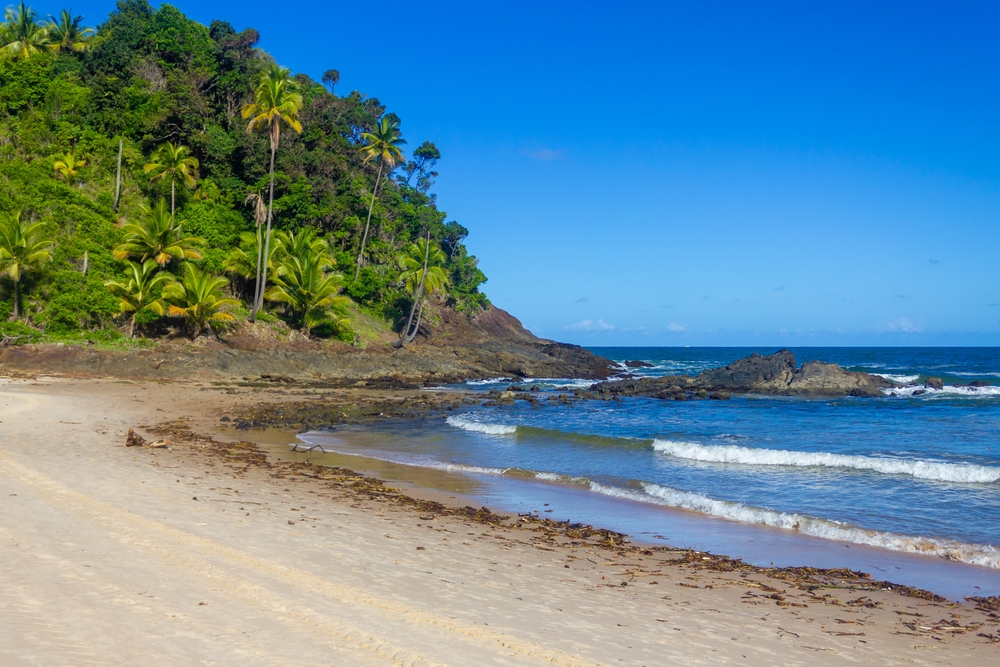 Foto: Lisandro Luis Trarbach / Shutterstock.com