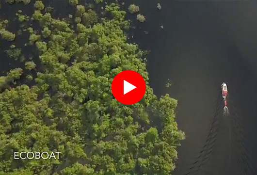 Manaus é um dos 52 lugares para ir em 2023