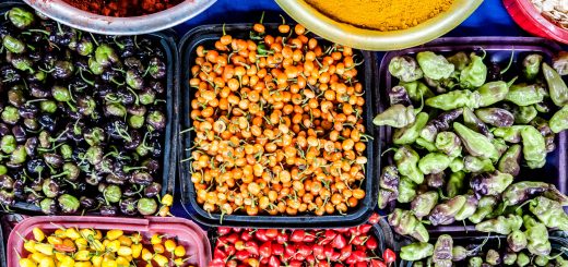 Foto: Leandro Moura / MTur