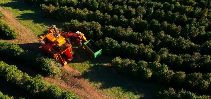 Foto: Alf Ribeiro / Shutterstock.com