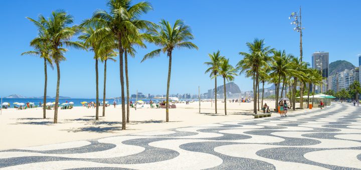 Foto: lazyllama / Sutterstock.com