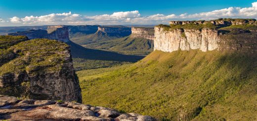 Foto: Alexsandro do Nascimento / Shutterstock.com