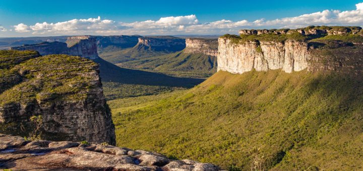 Foto: Alexsandro do Nascimento / Shutterstock.com