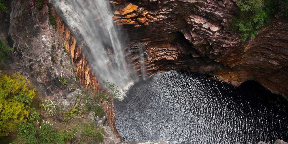 Foto: Caio Pederneiras / Shutterstock.com