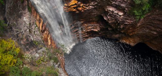 Foto: Caio Pederneiras / Shutterstock.com