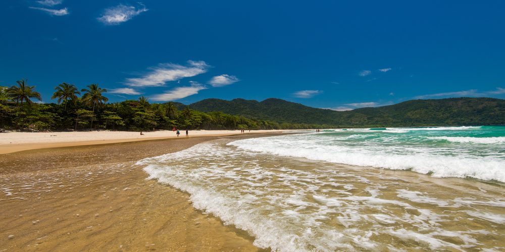Foto: Donatas Dabravolskas / Shutterstock.com