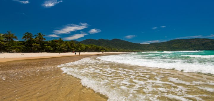 Foto: Donatas Dabravolskas / Shutterstock.com