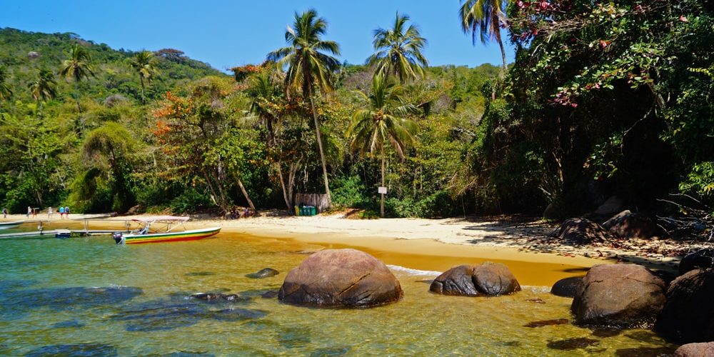 Foto: Maicon Santos / Shutterstock.com