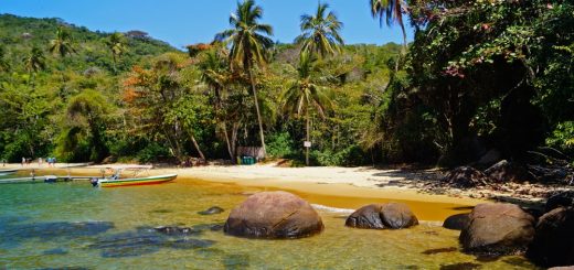 Foto: Maicon Santos / Shutterstock.com