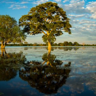 Foto: Claudio Frateschi / Shutterstock.com