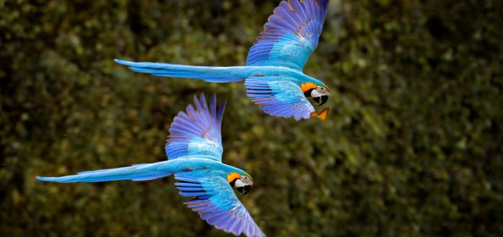 Foto: Ondrej Prosicky / Shutterstock.com