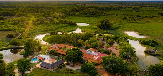 Foto: Divulgação / Pousada Araras Pantanal Eco Lodge