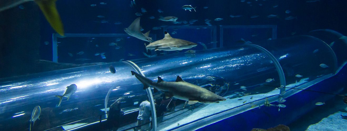 Foto: Bruna Prado / MTur