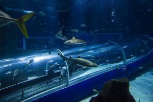 Foto: Bruna Prado / MTur