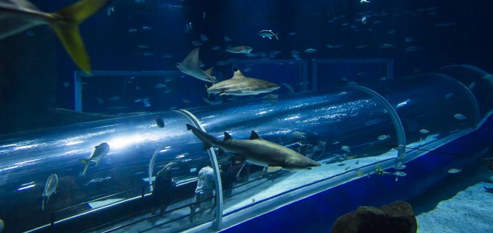 Foto: Bruna Prado / MTur