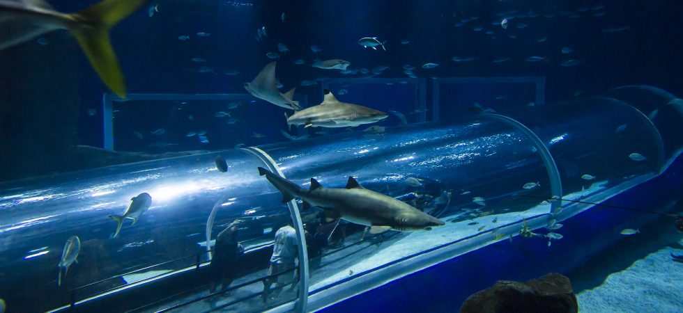 Foto: Bruna Prado / MTur