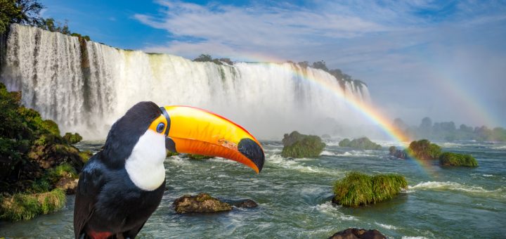 Foto: Junior Braz / Shutterstock.com